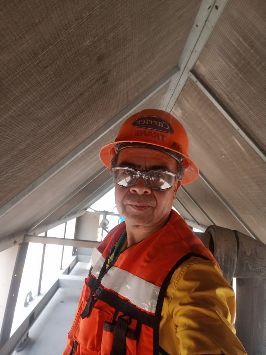 Técnico en interior